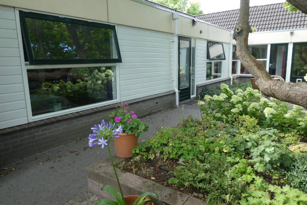 Huis Bij De Catalpa Dordrecht Bagian luar foto